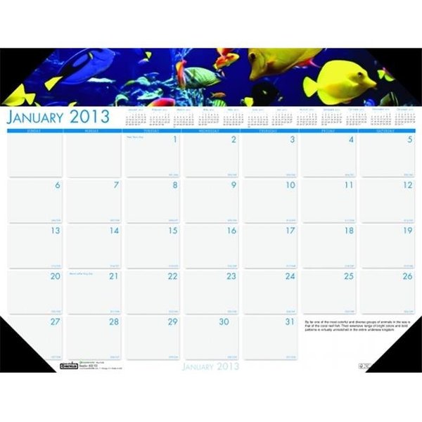 House Of Doolittle House of Doolittle HOD193 Sea Life Desk Pad the product will be for the current year. HOD193